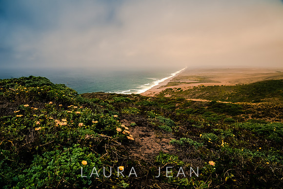 Point Reyes Sea Shore Ca