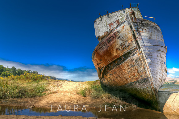 Point Reyes Ship Wreck - Inverness, Ca