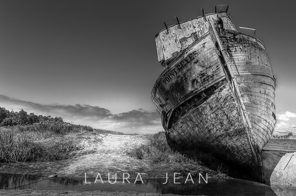 Point Reyes Ship Wreck - Inverness, Ca