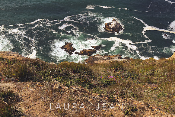 Point Reyes Sea Shore Ca
