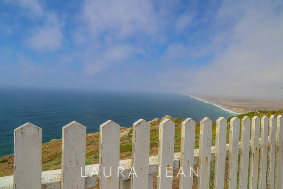 Point Reyes Sea Shore Ca