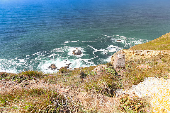 Point Reyes Sea Shore Ca