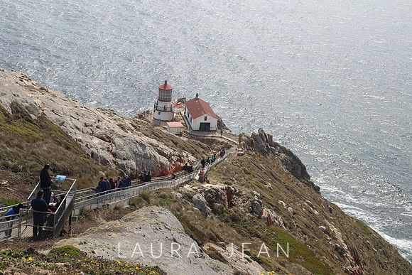 Point Reyes Light House Ca