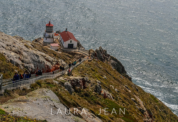 Point Reyes Light House Ca