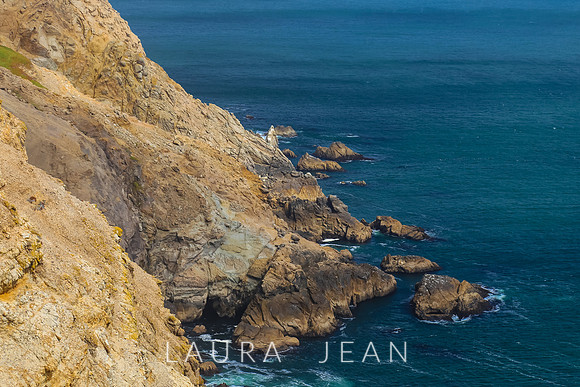 Point Reyes Sea Shore Ca