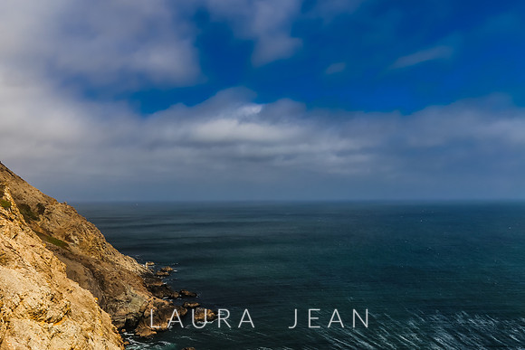 Point Reyes Sea Shore Ca