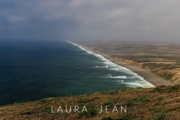 Point Reyes Sea Shore Ca