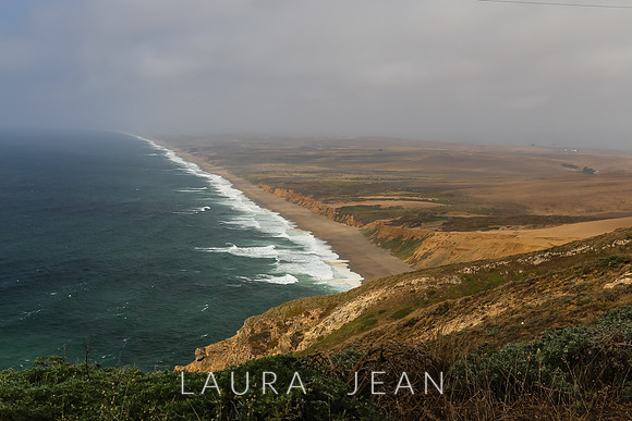 Point Reyes Sea Shore Ca