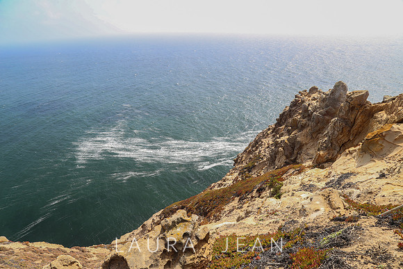 Point Reyes Sea Shore Ca